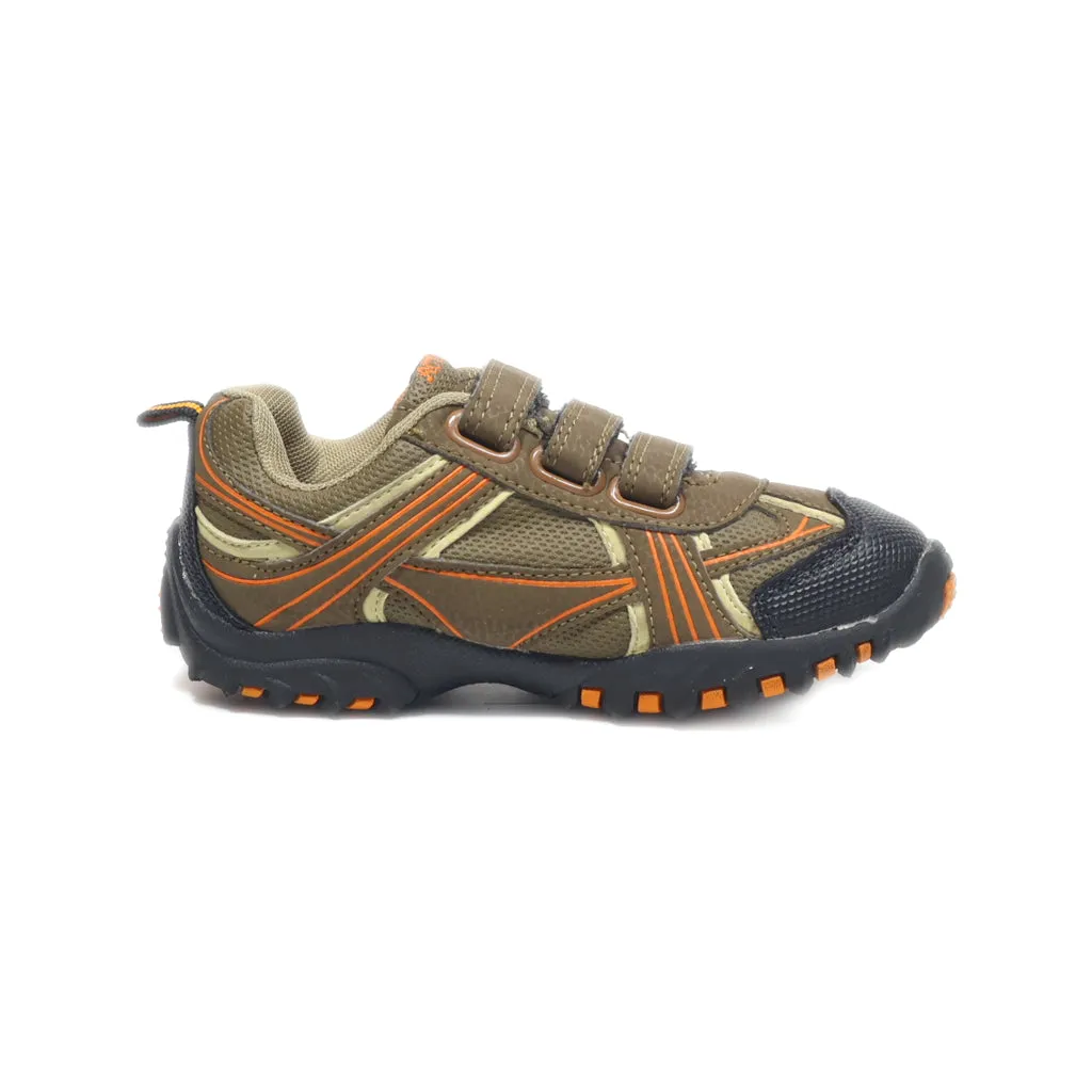 Active Sport Shoes Fabric Brown Colour For Kids
