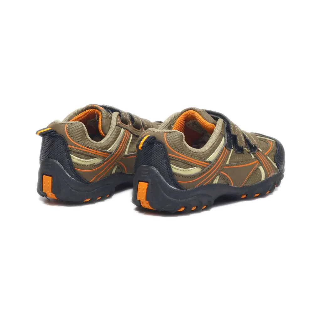 Active Sport Shoes Fabric Brown Colour For Kids