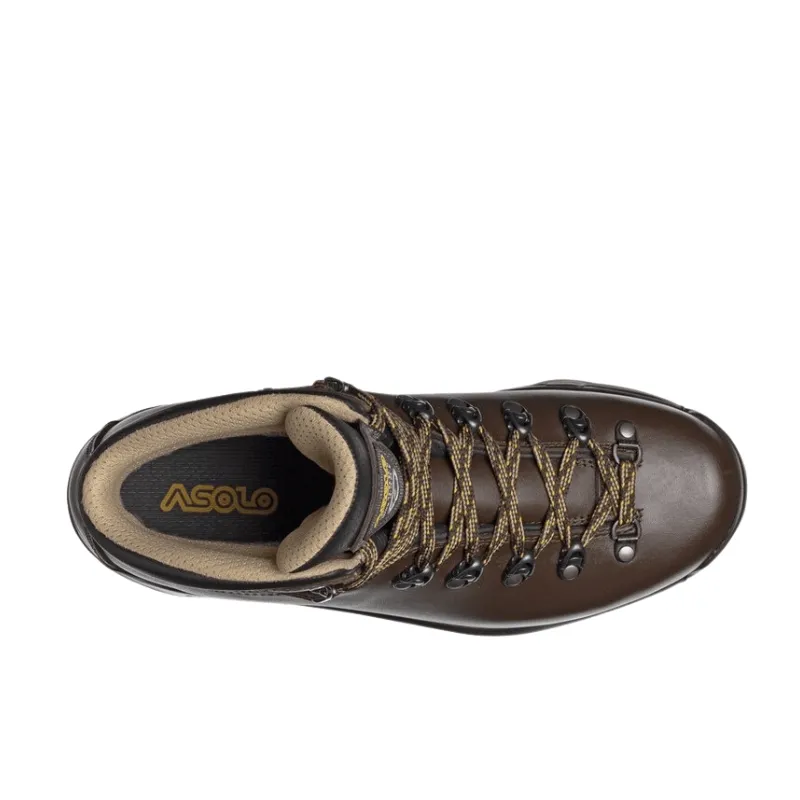 Asolo Men's TPS 520 GV Evo Hiking Boots