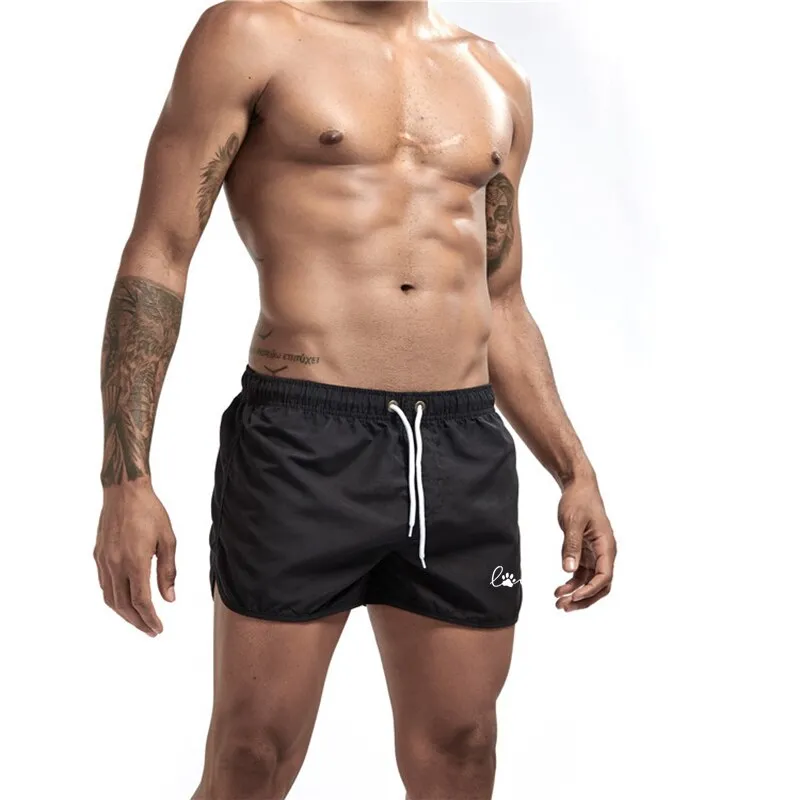 Men  Quick-Drying Shorts