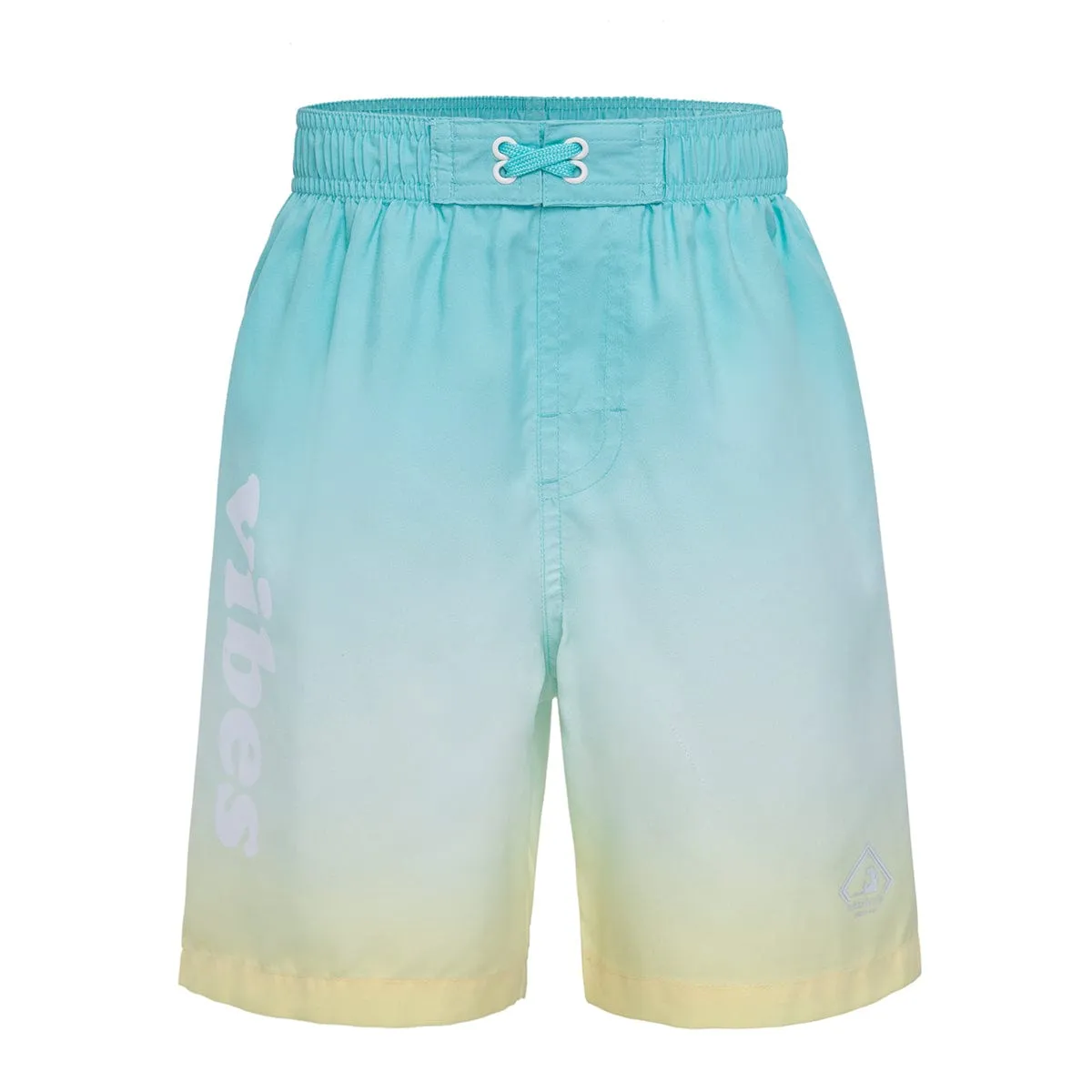 Toddler Boys' Mesh Lined Swim Trunks