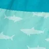 Toddler Boys' Mesh Lined Swim Trunks