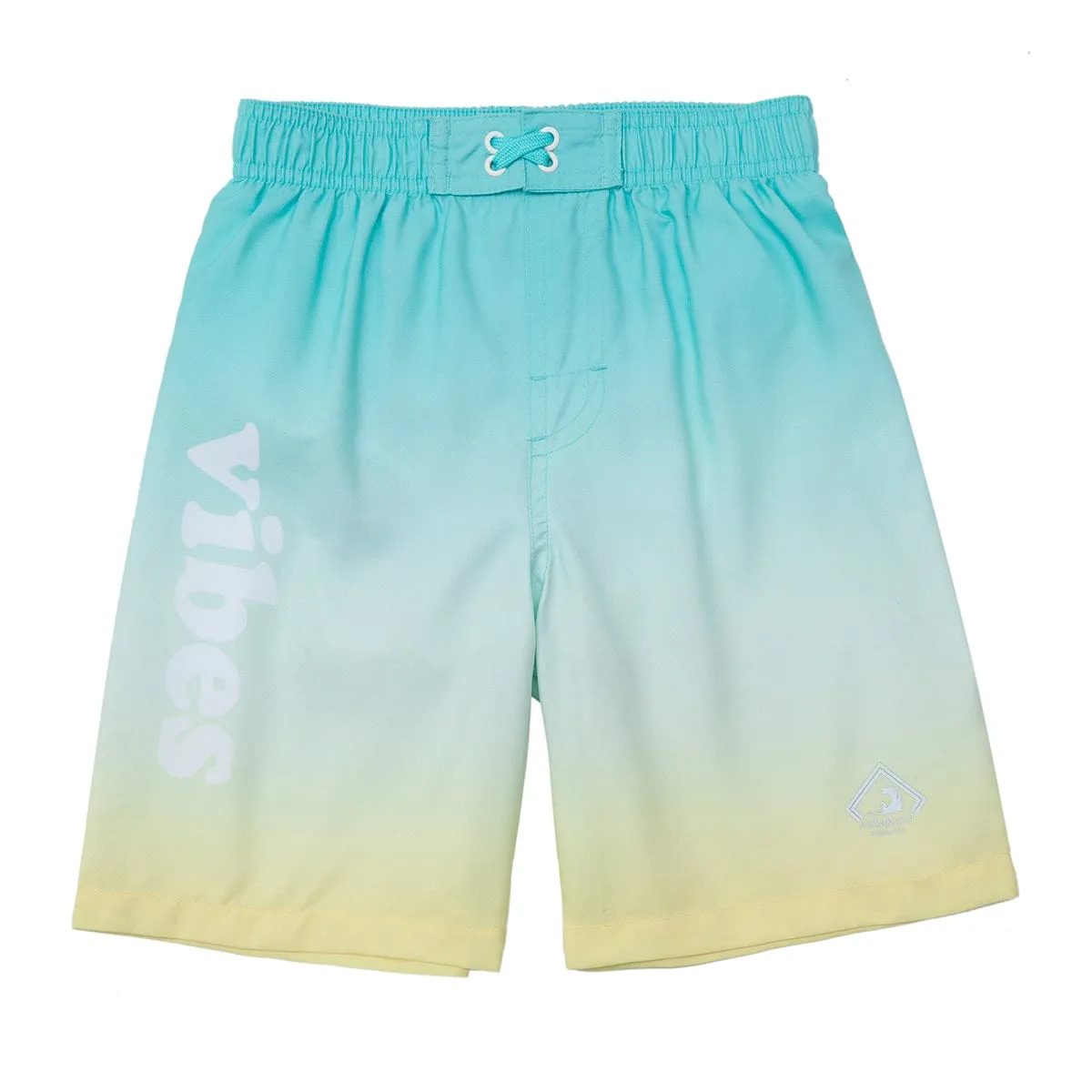 Toddler Boys' Mesh Lined Swim Trunks