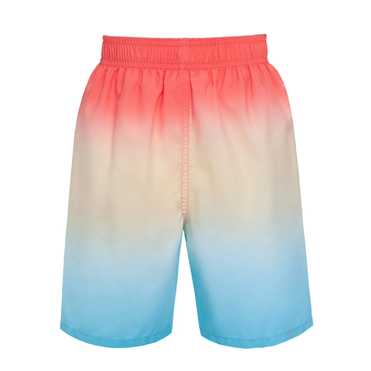 Toddler Boys' Mesh Lined Swim Trunks