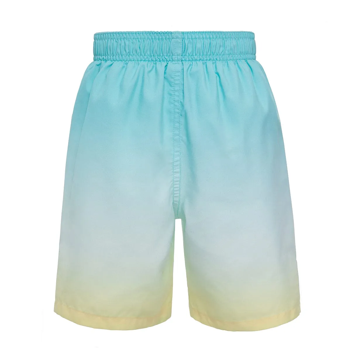 Toddler Boys' Mesh Lined Swim Trunks