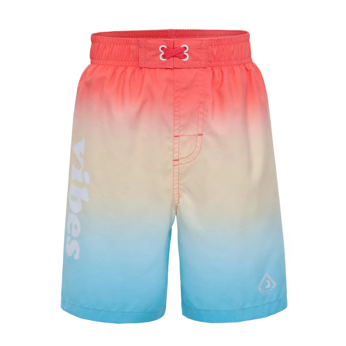 Toddler Boys' Mesh Lined Swim Trunks