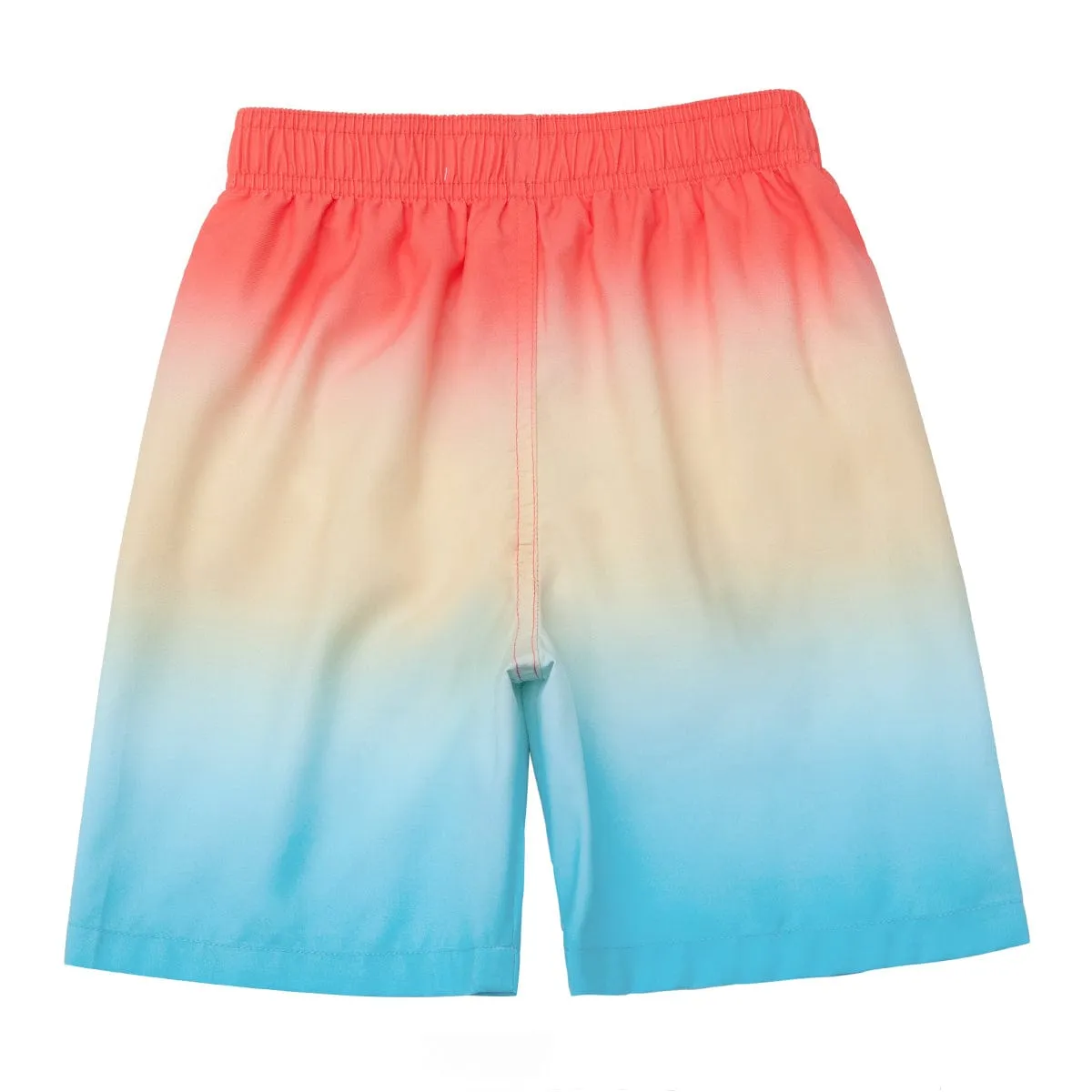 Toddler Boys' Mesh Lined Swim Trunks