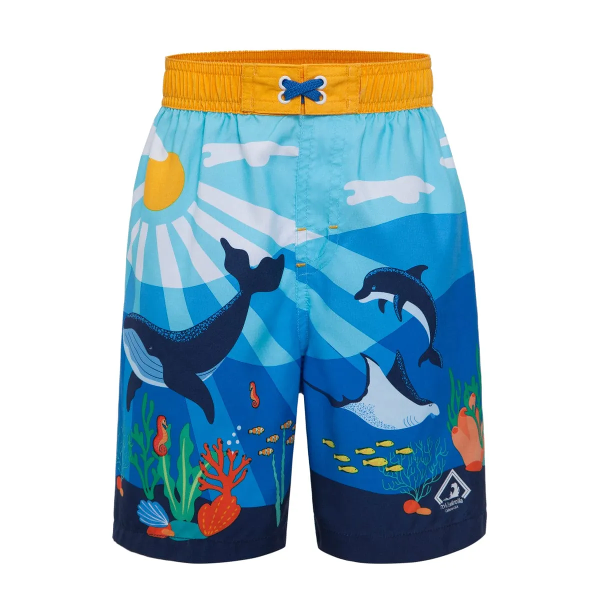 Toddler Boys' Mesh Lined Swim Trunks