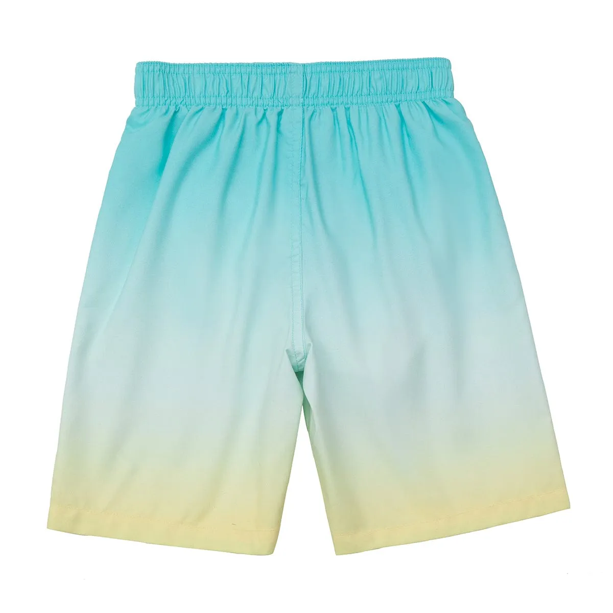Toddler Boys' Mesh Lined Swim Trunks